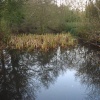 Basingstoke Canal, Up Nately
