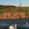 Ice covered pond