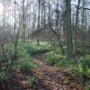 Grafham Water Nature Reserve