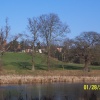 The Abbey Fields