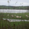 Floods