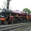  Leander