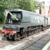 Golden Arrow