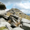 Sharp Tor near Henwood