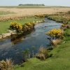 Cherry Brook