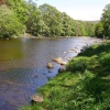 Stanhope stepping stones