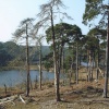 Brownsea Island Nature Reserve