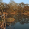 River Stour at Fiddleford