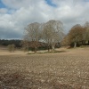 Winter Sunshine