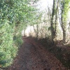 Walking around South Warnborough