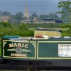 'Maric' at Slimbridge