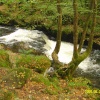 Falls