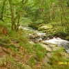 Falls