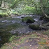 Falls