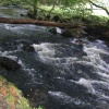 Falls