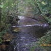 Falls