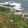View from St. Michael's Mount 2