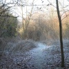 Seven Sisters Country Park