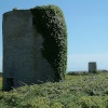 Remains of Tower Mills