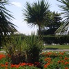Clacton