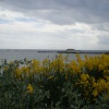 Clacton Pier