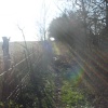 Early morning around Up Nately