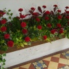 A Flower Festival at St Mary's 2007