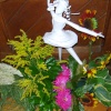 Flower Show at Newmarket St Mary's 2007