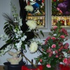 Flower Show at St Mary's Church 2007