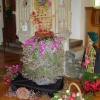 Flower Show at Newmarket St Mary's 2007