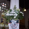 Flower Show at Newmarket St Mary's 2007