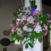 Flower Show at Newmarket St Mary's 2007