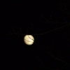 The moon
