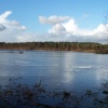 Delamere Forest Lake