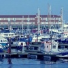 Hartlepool Marina