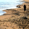 South Shields Beach.