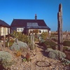 Jarman's Garden, Dungeness, Kent