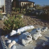 Jarman's Garden, Dungeness, Kent