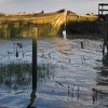 Sunken barges at Gillingham Strand