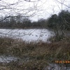 The lake