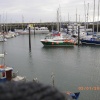 The Harbour