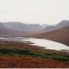 West Highland Scene