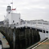 The Harbour
