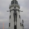 The Harbour