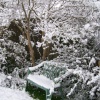 2008 Snow