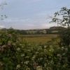 Over  the  hedge