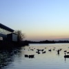 Sunset over Attenborough Nature Reserve