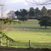 The park