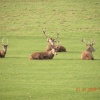 Having a rest.