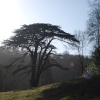 Woodchester Park